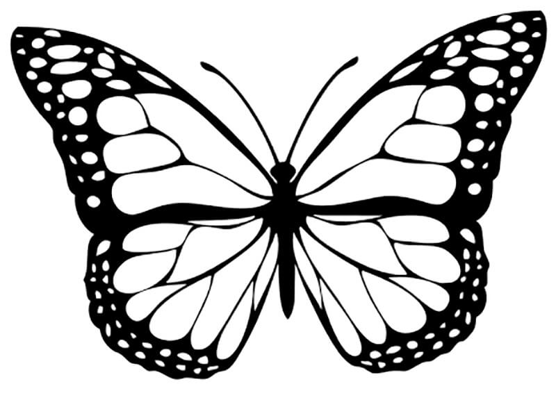 Printable Butterfly Stencil 12