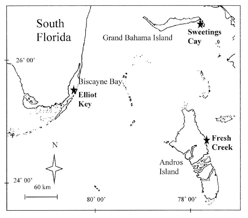 Printable Bahamas Island Map