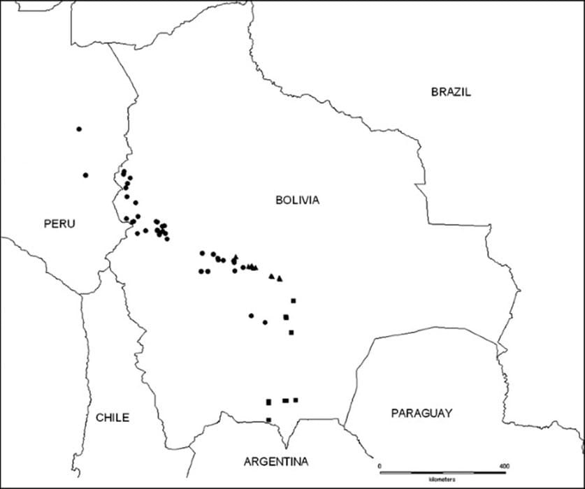 Printable Bolivia City Map