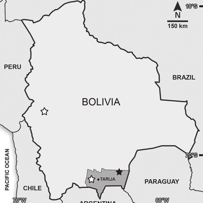 Printable Brazil And Bolivia Map