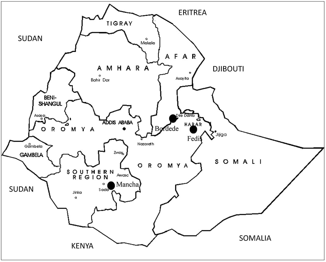 Printable Ethiopia Regional Map
