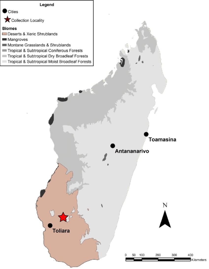 Printable Madagascar Cities Map