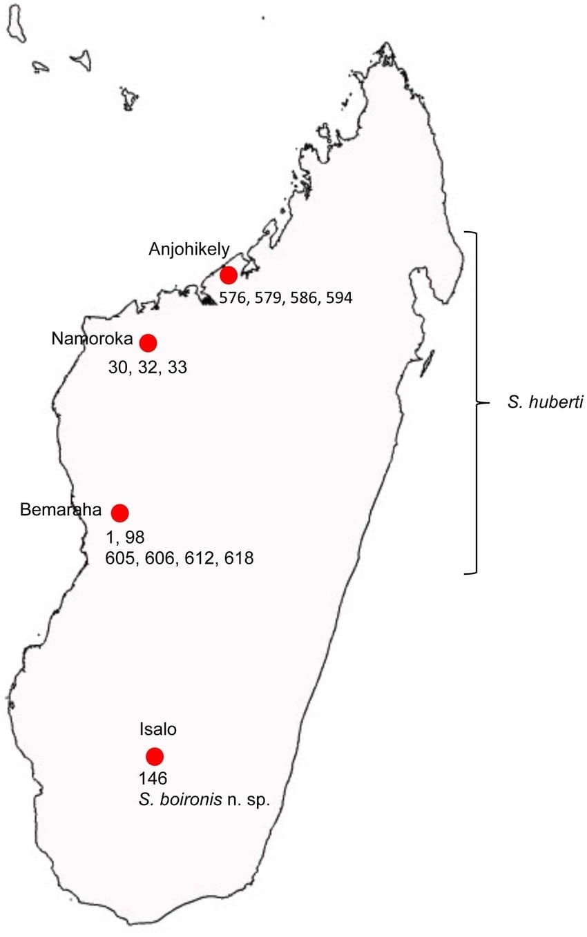Printable Madagascar Island Map