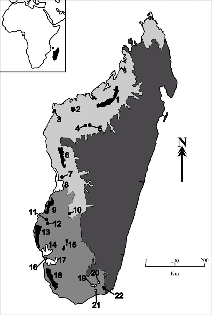 Printable Madagascar Location Map