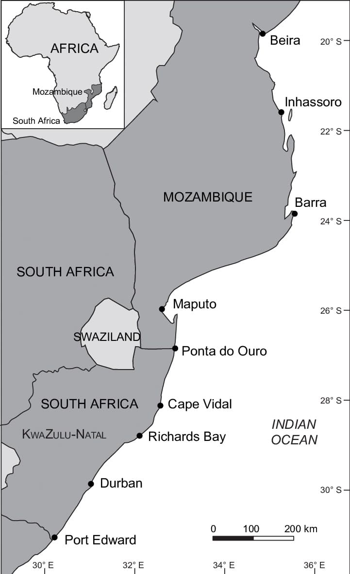Printable Map Mozambique Africa