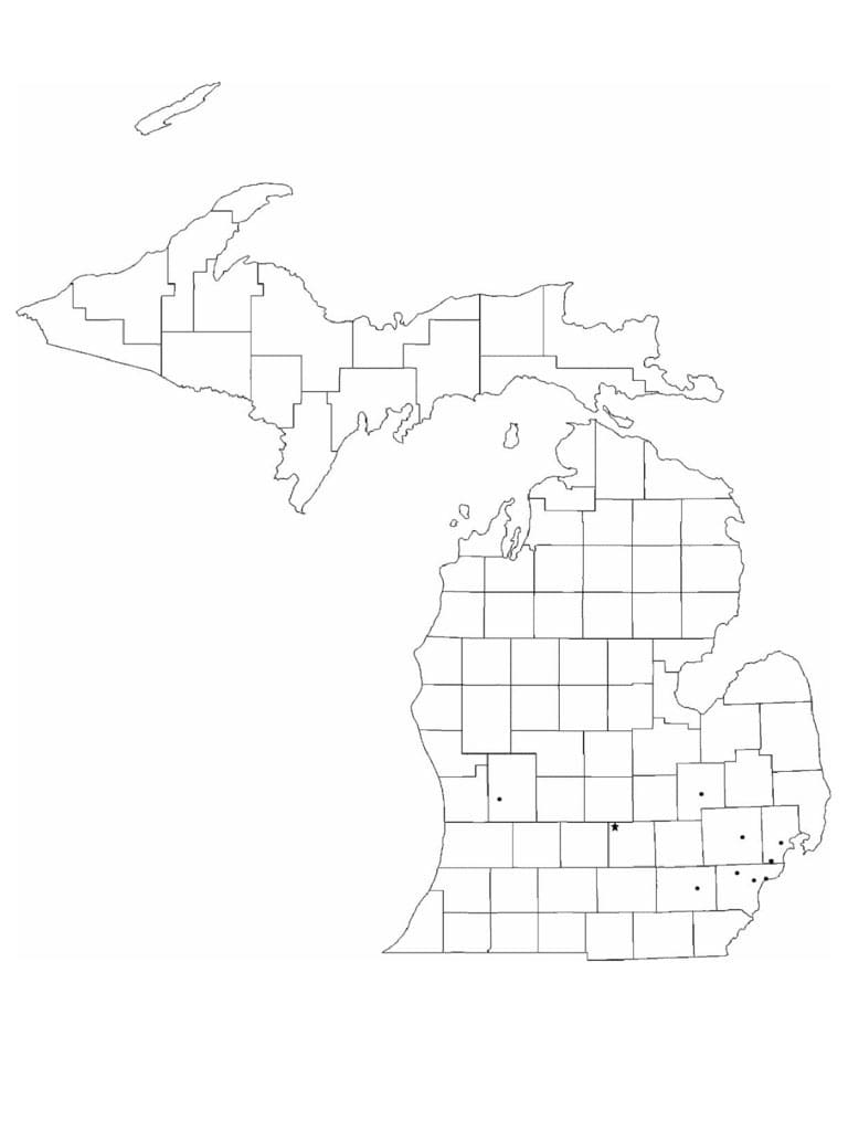 Printable Michigan Map Location