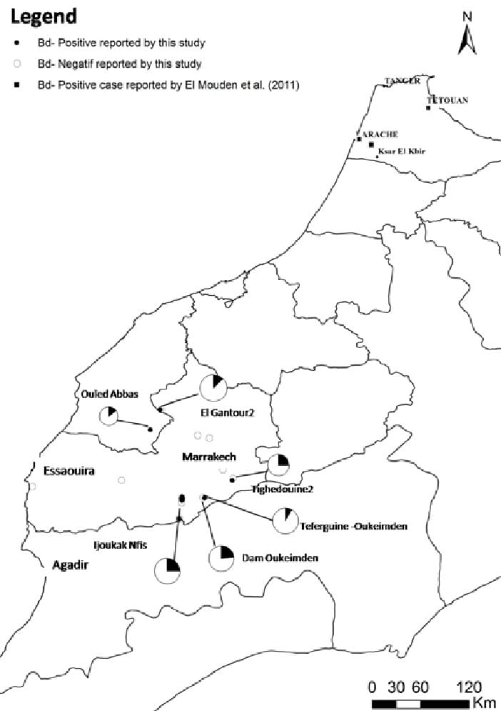 Printable Morocco Capital Map