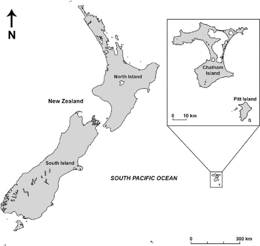 Printable New Zealand Islands Map