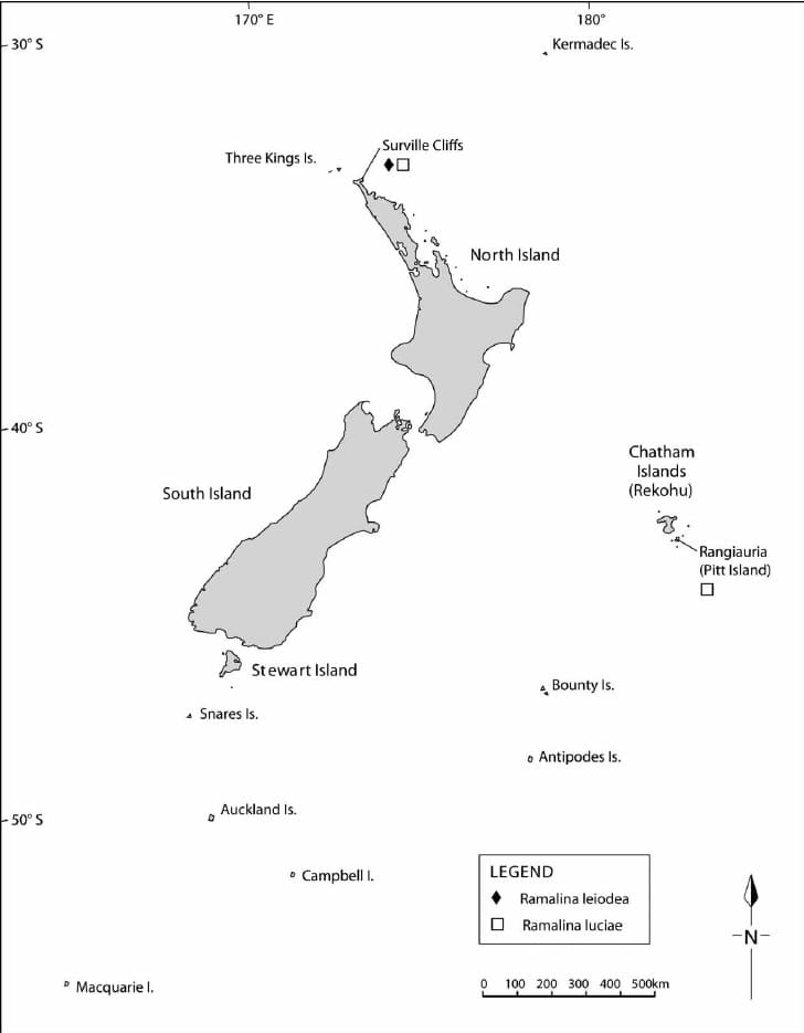 Printable New Zealand Location Map