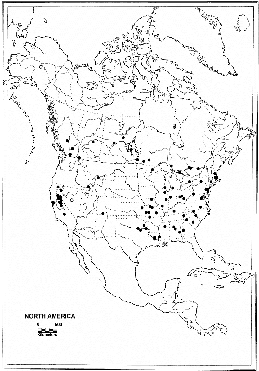 Printable North America Map Base