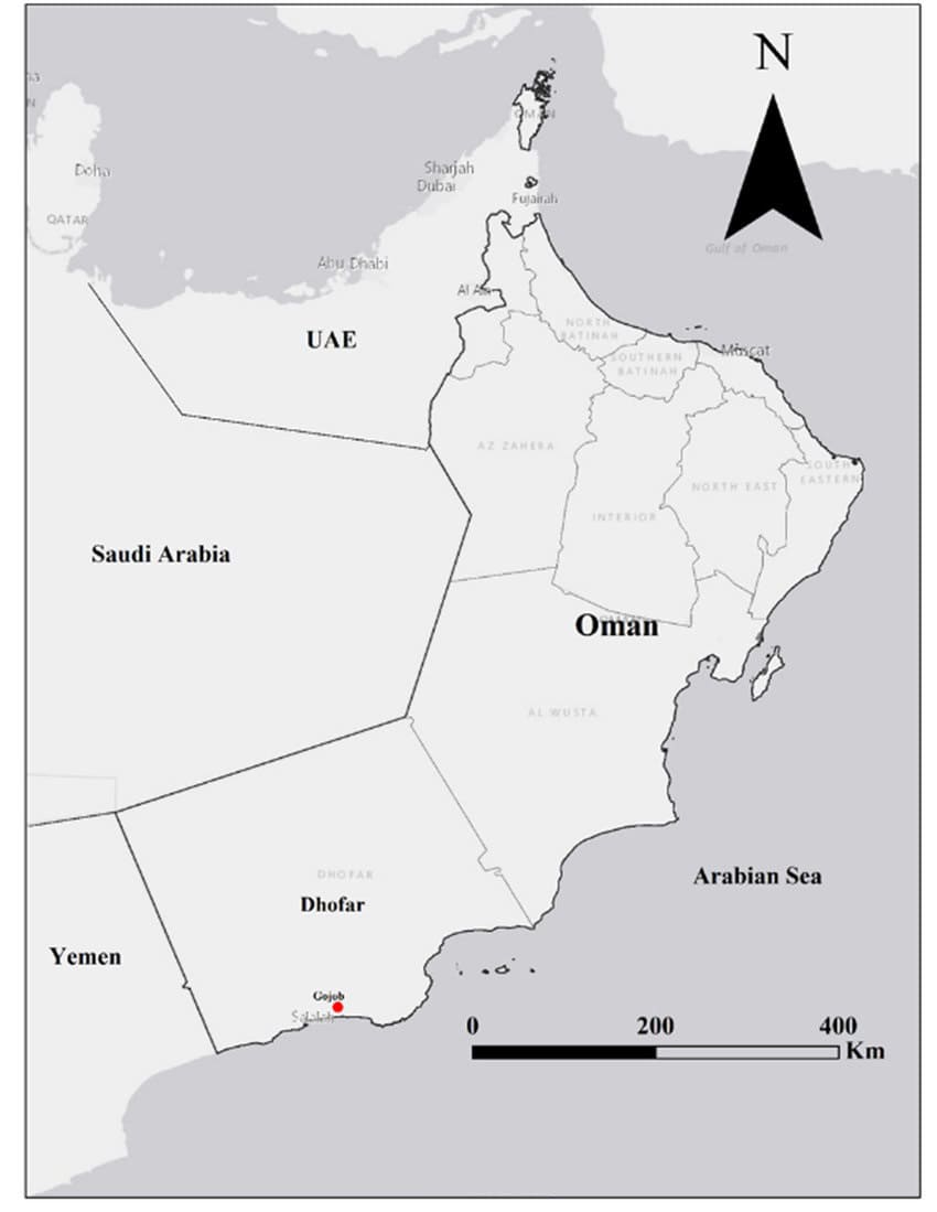 Printable Oman Map Provinces