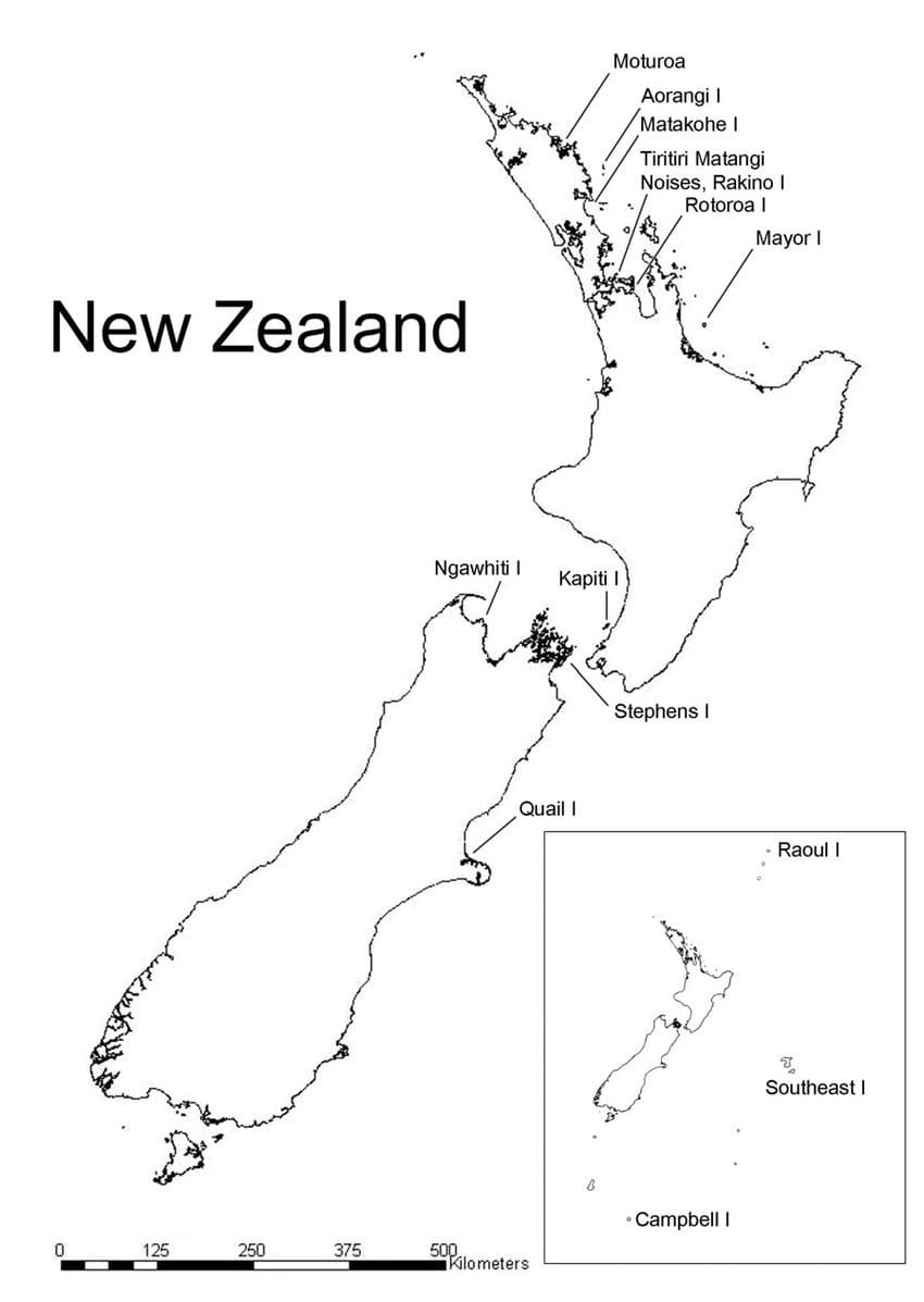 Printable Outline New Zealand Map