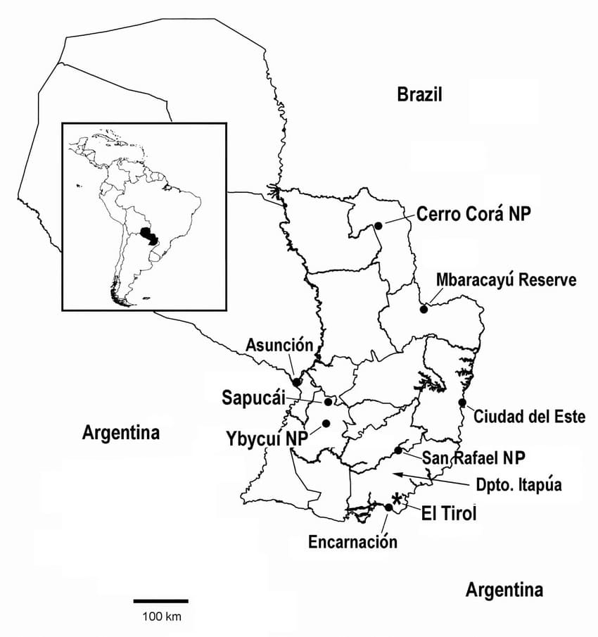 Printable Paraguay Map Outline