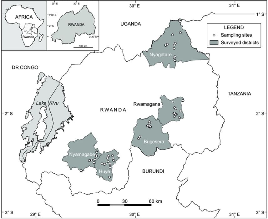 Printable Rwanda Map District