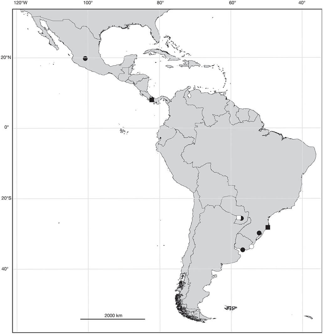 Printable South America Map 3