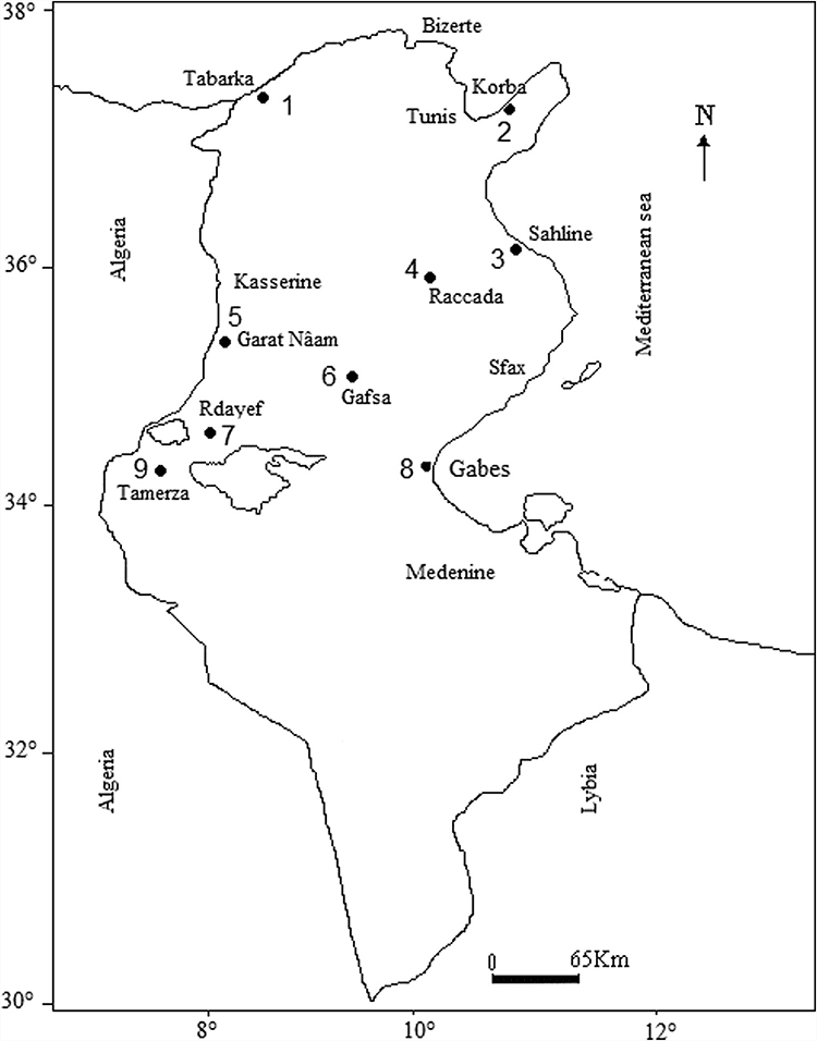 Printable Tunisia Map Cities