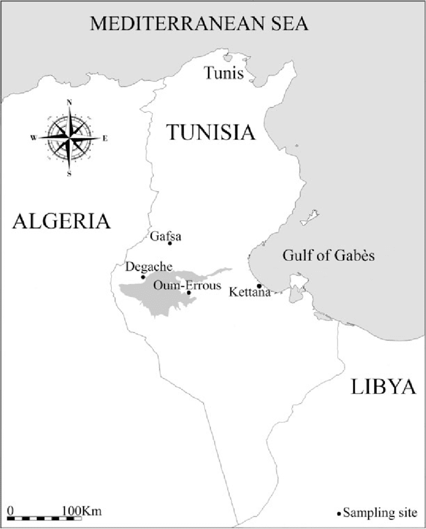 Printable Tunisia Map Location
