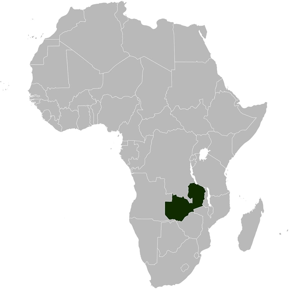 Printable Zambia Africa Map