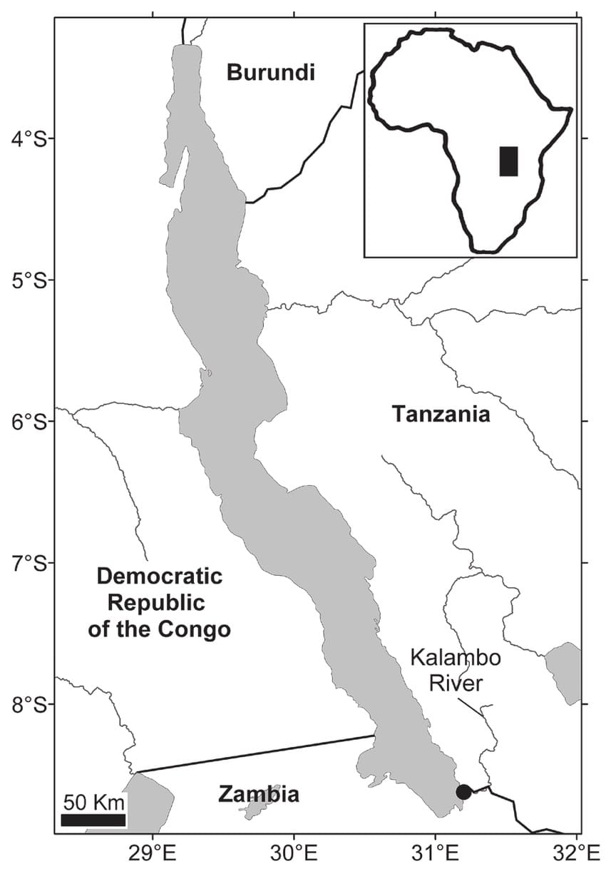 Printable Zambia Location Map
