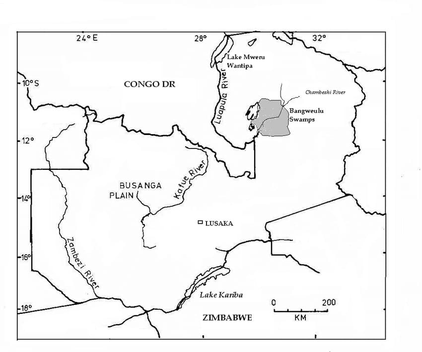 Printable Zambia Map Location