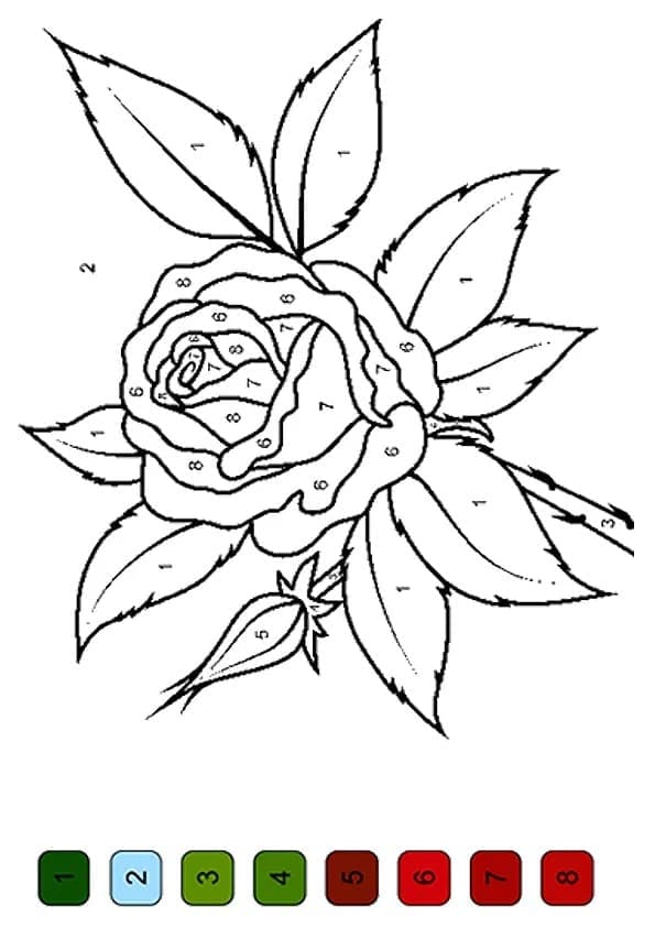 Printable Beautiful Flower Paint by Number