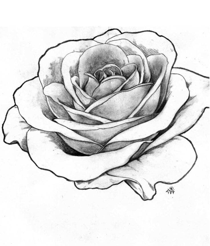 Printable Black Rose Stencil Tattoo
