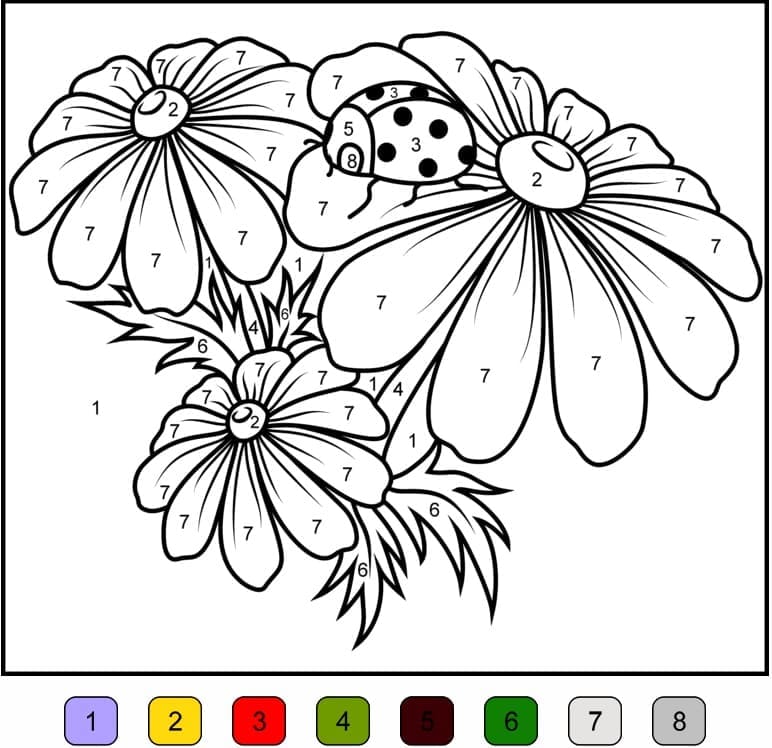 Printable Camomile Paint by Number