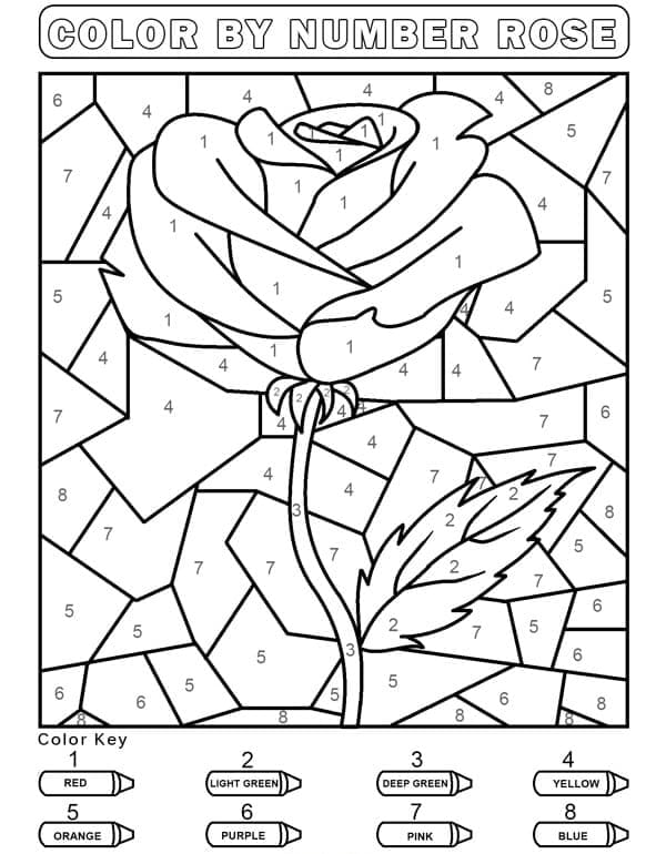 Printable Easy Rose Paint by Number