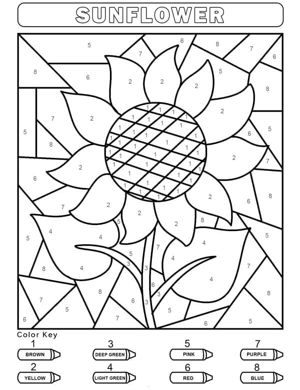Printable Easy Sunflower Paint by Number