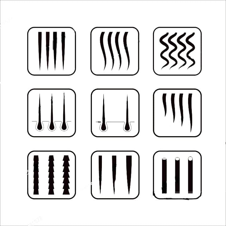 Printable Ethnic Hair Type Chart