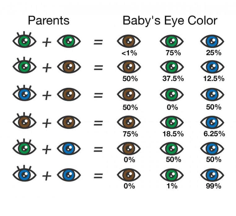 Printable Eye Chart Color