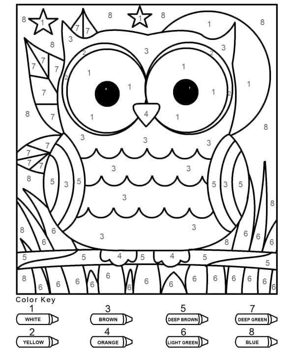 Printable Funny Owl Paint by Number