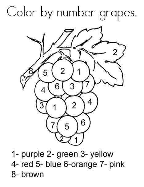 Printable Grapes Paintr by Number