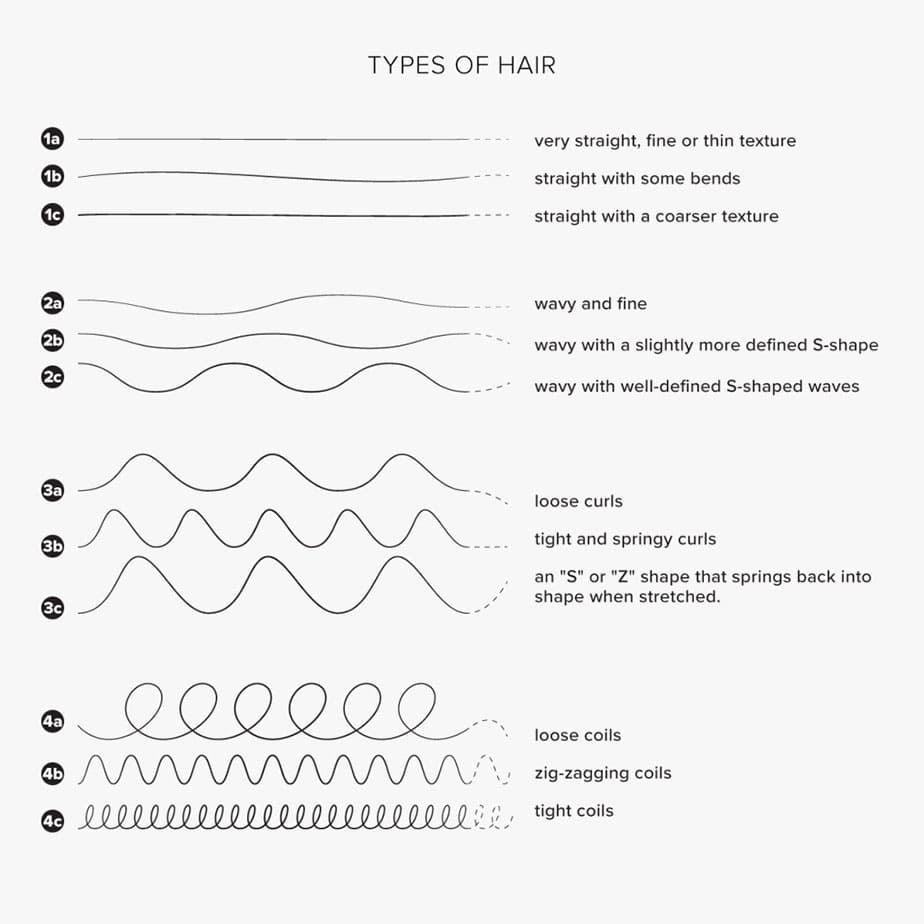 Printable Hair Type Chart Black