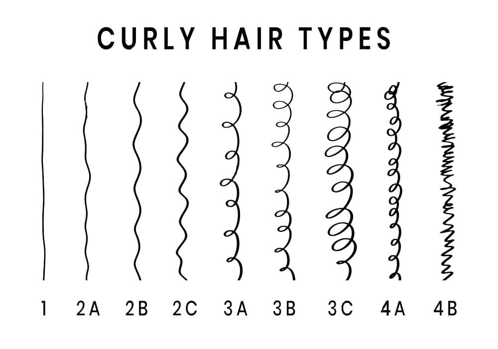 Printable Hair Type Chart Curly