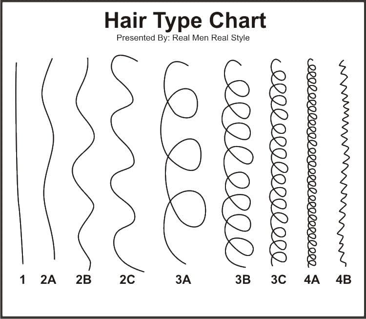 Printable Hair Type Chart Men