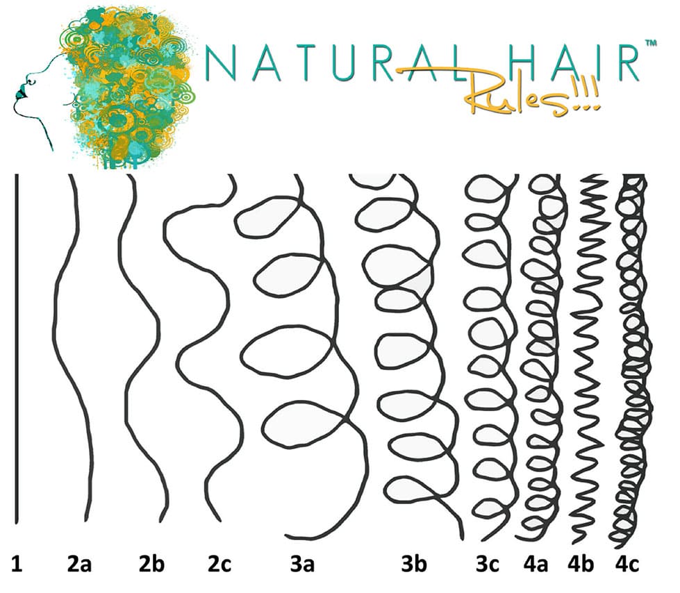 Printable Hair Type Chart Natural Hair