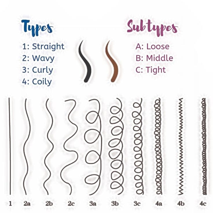 Printable Hair Type Chart Straight