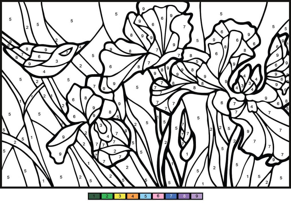Printable Irises Paint by Number