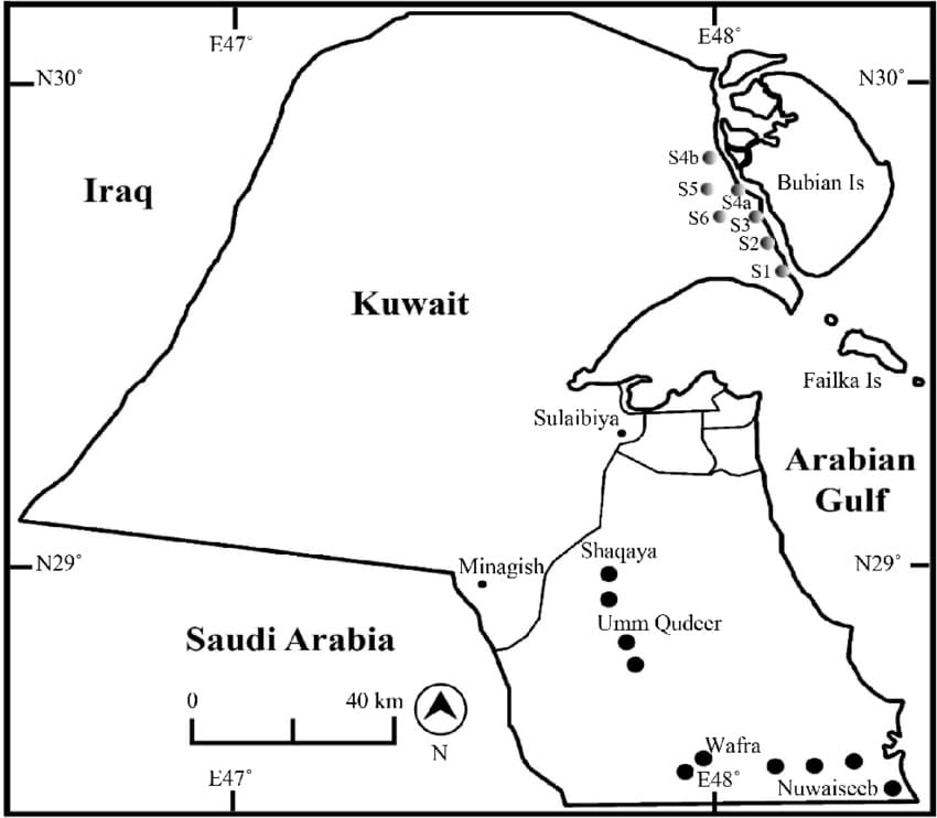 Printable Kuwait Map Location