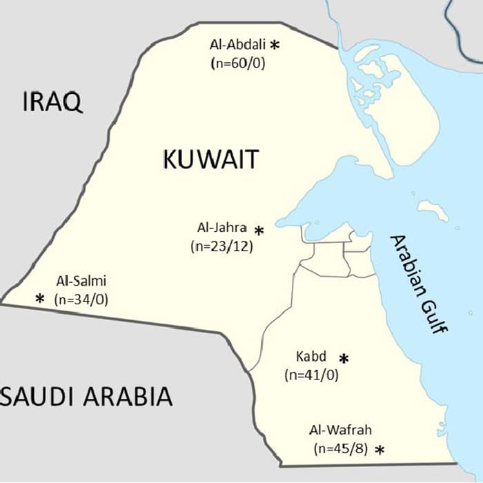 Printable Kuwait Map On World