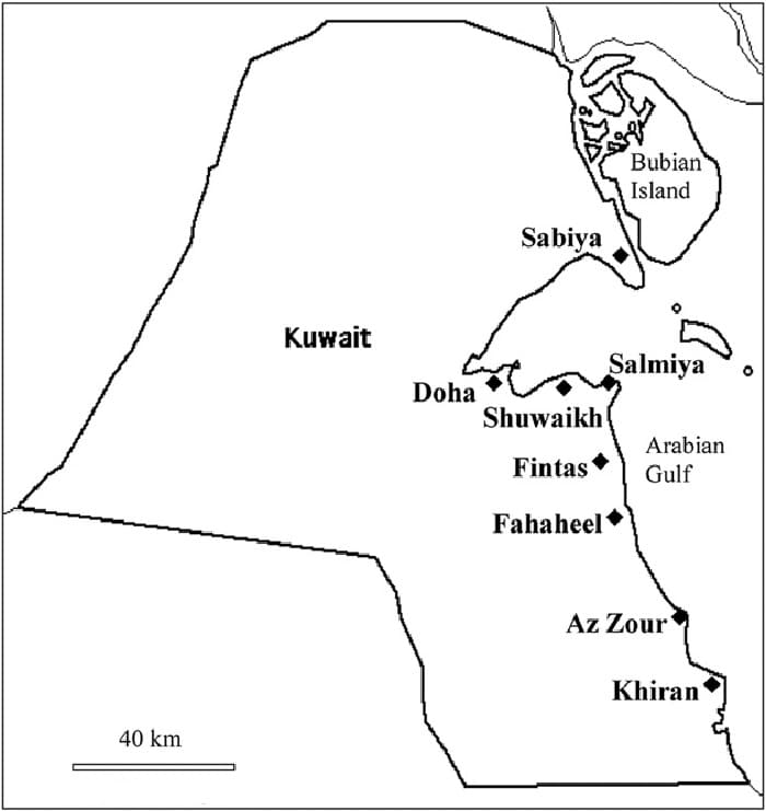 Printable Kuwait Physical Map