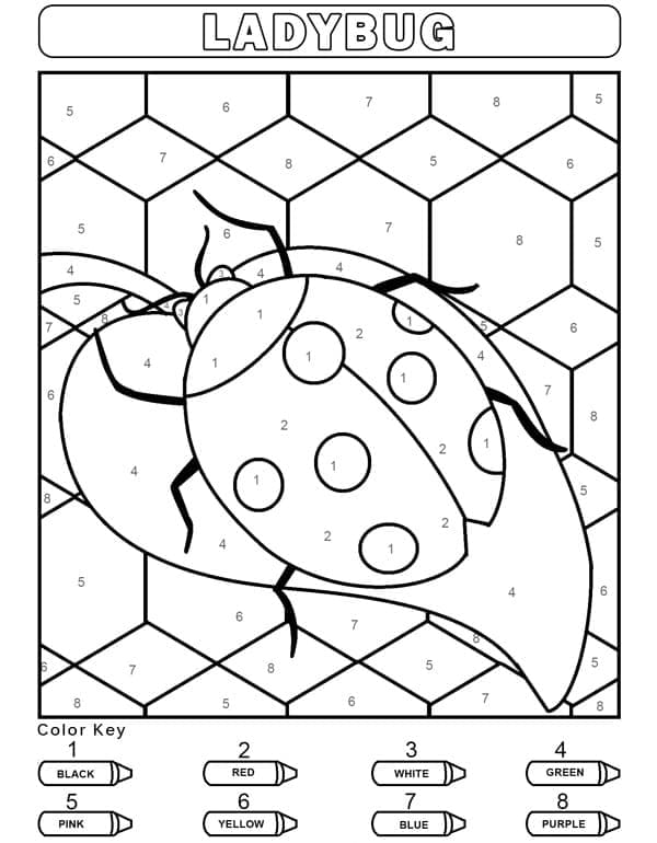 Printable Ladybug Paint by Number