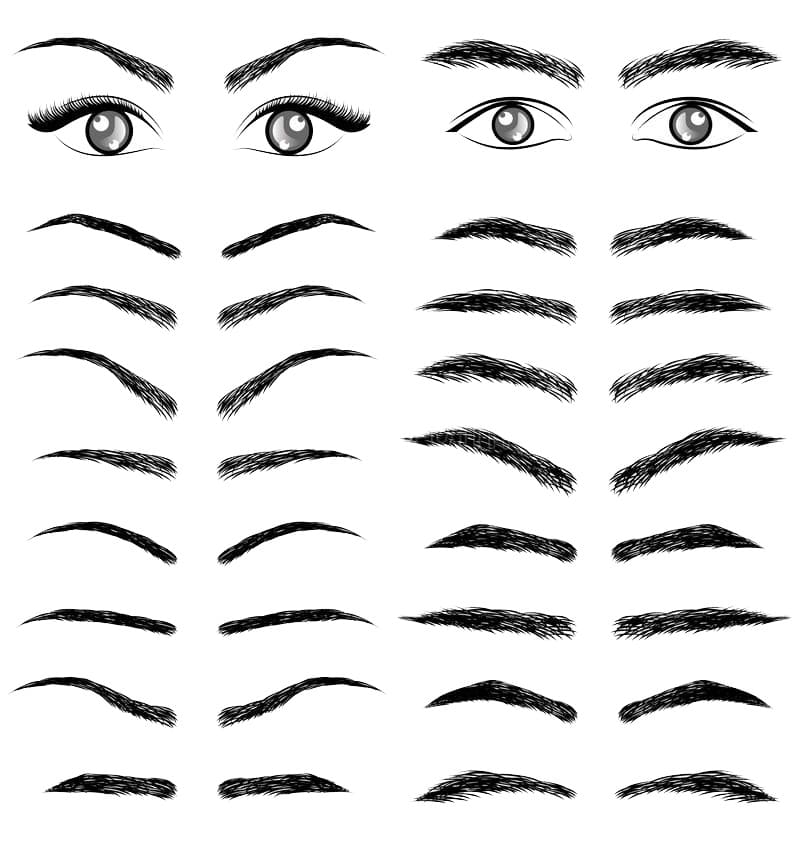 Printable Eyebrow Stencil With Powder Free download and print for you.