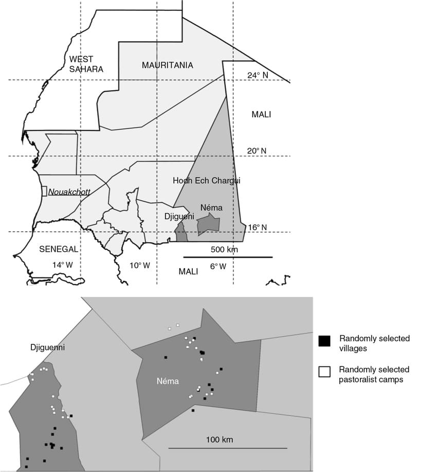 Printable Mauritania Cities Map