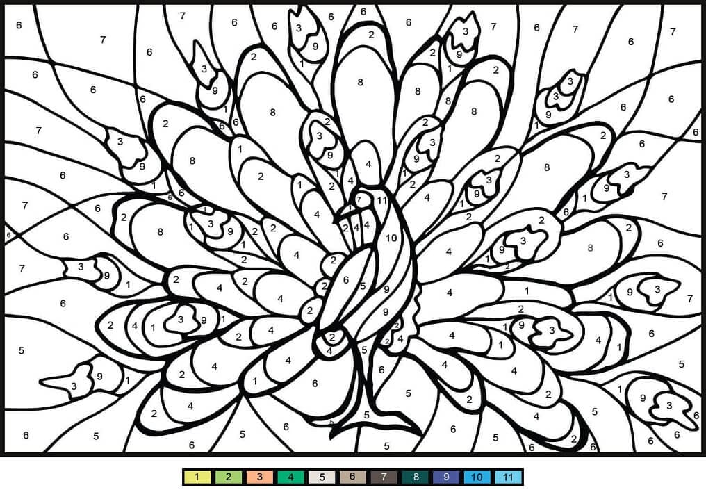 Printable Peacock Paint by Number