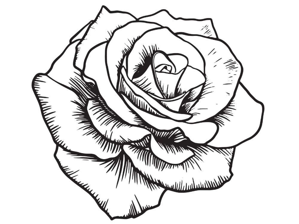 Printable Rose Brush Stencil