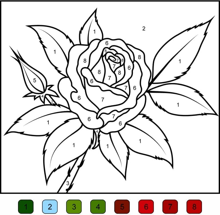 Printable Rose Flower Paint by Number