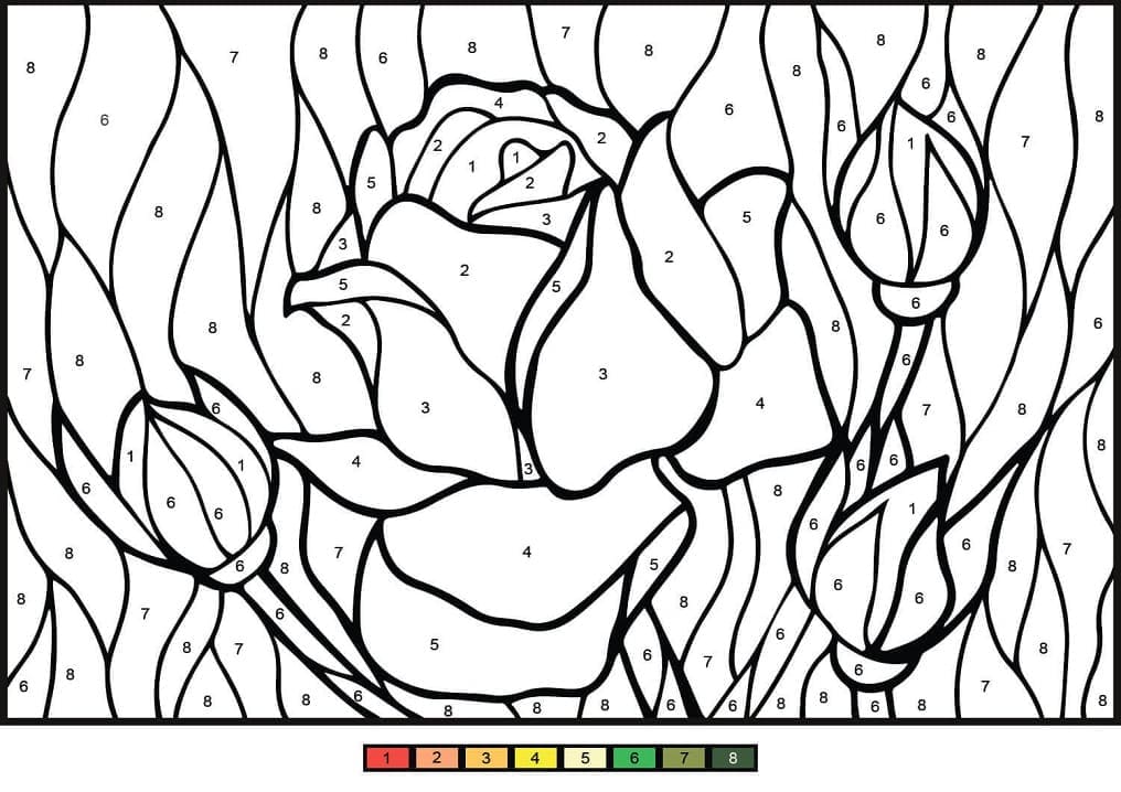 Printable Rose Paint by Number