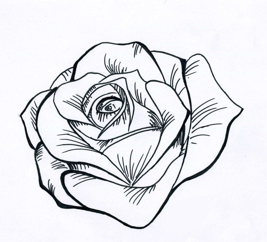 Printable Rose Stencil Paint
